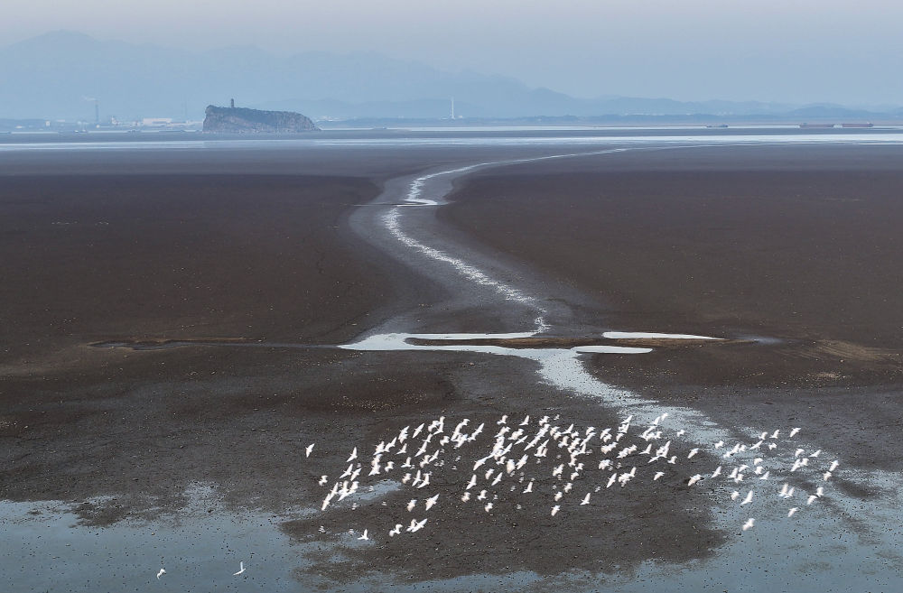 中非“双湖记”：鄱阳湖与维多利亚湖生态共治影像志(图5)