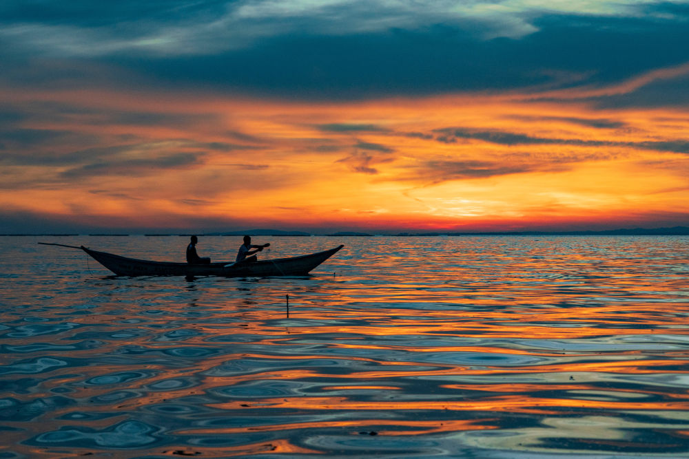 中非“双湖记”：鄱阳湖与维多利亚湖生态共治影像志(图7)