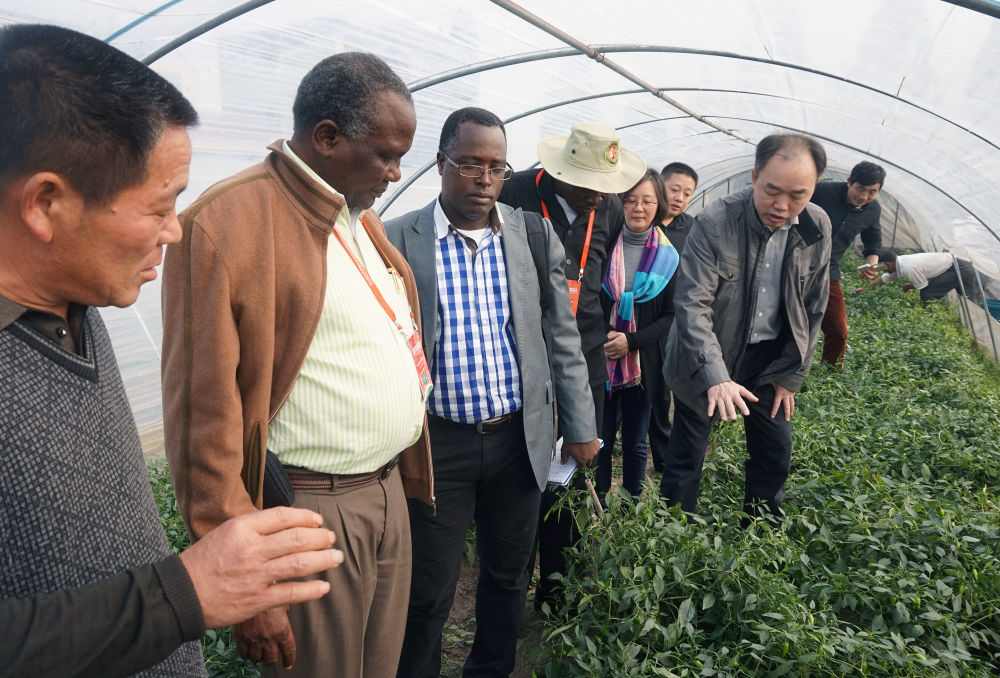 中非“双湖记”：鄱阳湖与维多利亚湖生态共治影像志(图8)