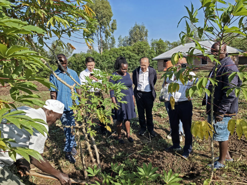 中非“双湖记”：鄱阳湖与维多利亚湖生态共治影像志(图10)