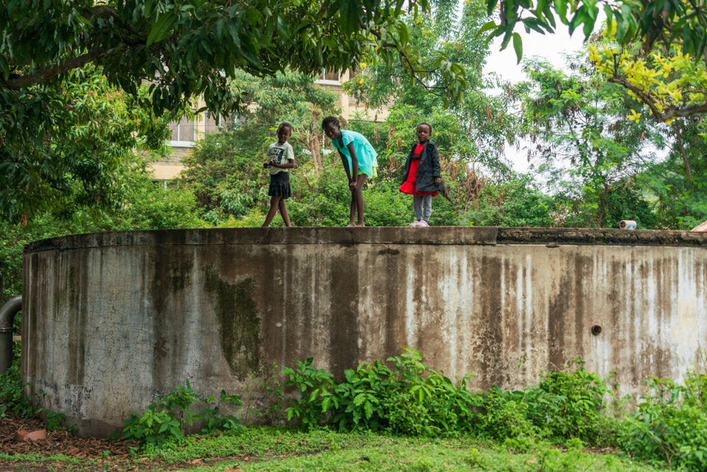 中非“双湖记”：鄱阳湖与维多利亚湖生态共治影像志(图11)