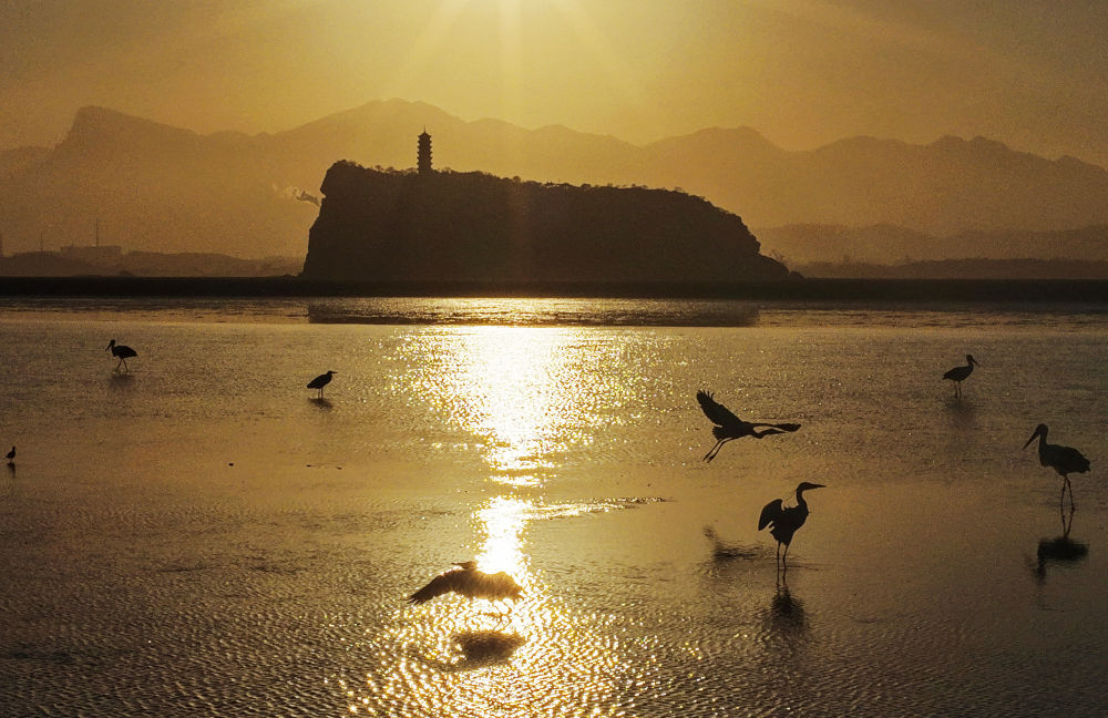 中非“双湖记”：鄱阳湖与维多利亚湖生态共治影像志(图15)