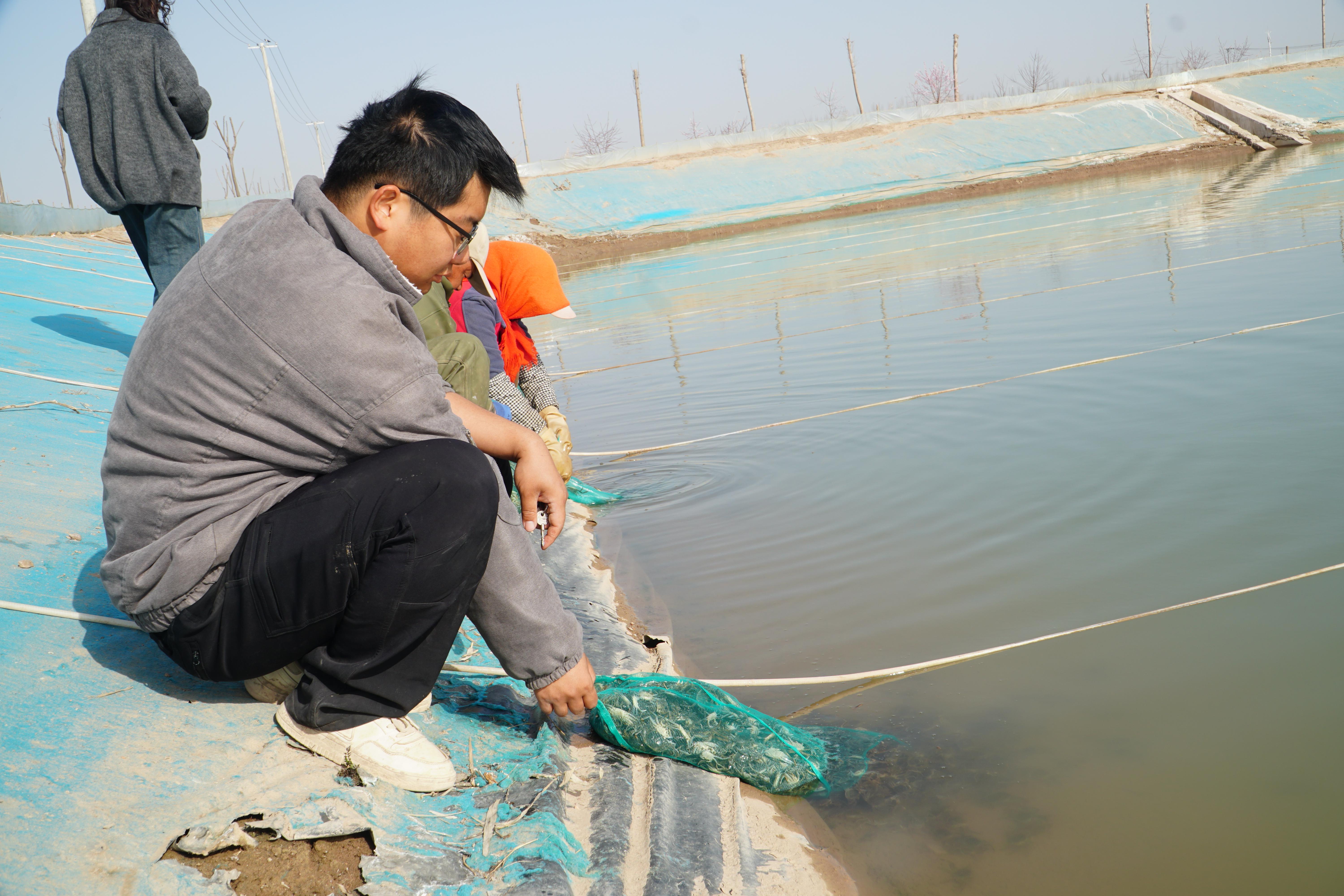 区媒看银川丨银川市渔业稳产提质再造10亿元产业(图2)