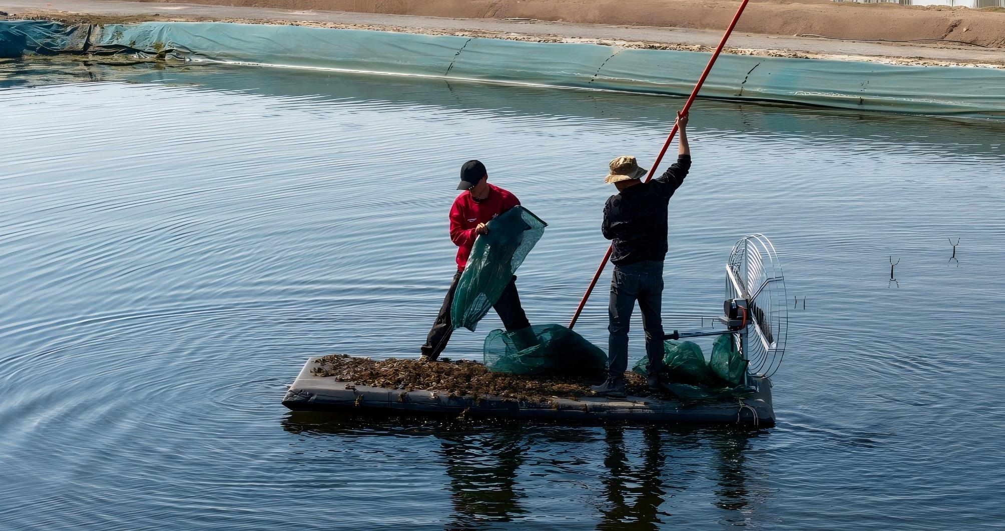 区媒看银川丨银川市渔业稳产提质再造10亿元产业(图3)