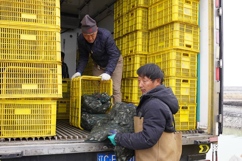 吉林镇赉：科技赋能蟹业提质精养深耕振兴之路(图1)