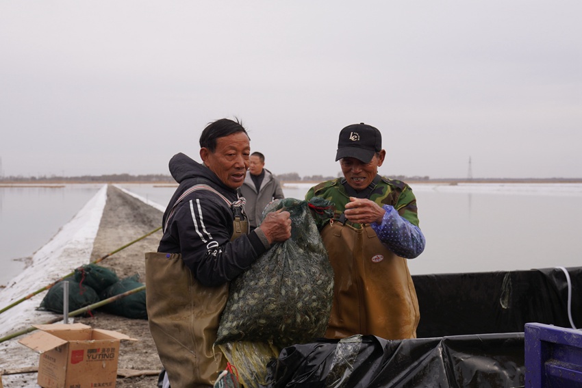 吉林镇赉：科技赋能蟹业提质精养深耕振兴之路(图3)