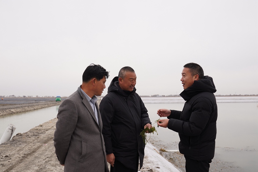 吉林镇赉：科技赋能蟹业提质精养深耕振兴之路(图2)