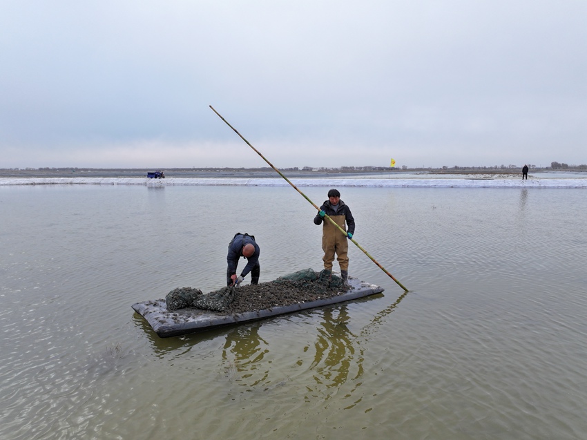 吉林镇赉：科技赋能蟹业提质精养深耕振兴之路(图5)