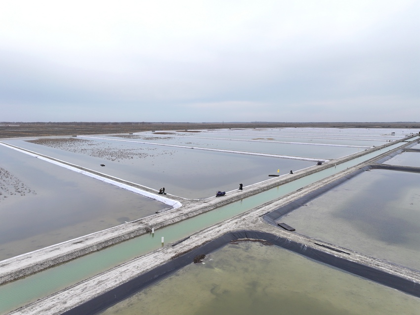 吉林镇赉：科技赋能蟹业提质精养深耕振兴之路(图6)