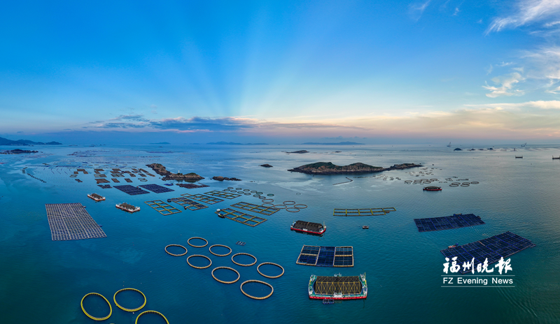 kaiyun：福州累计投用13个深远海养殖平台(图1)