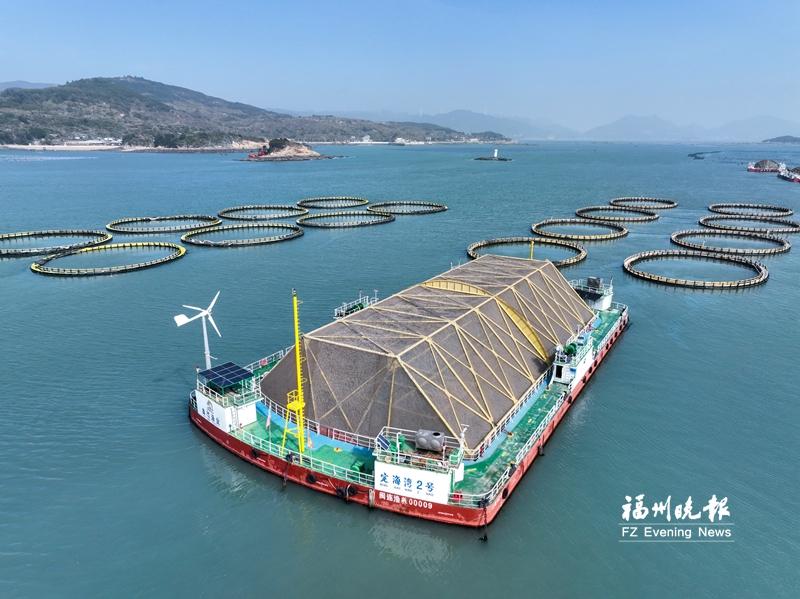 kaiyun：福州累计投用13个深远海养殖平台(图2)