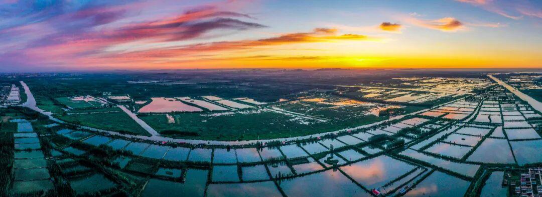 曾经的塌陷地现在的“网红打卡地”——济宁这波“湿地逆袭”我给满分(图3)
