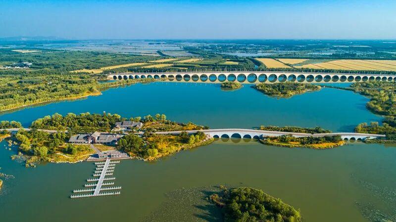 曾经的塌陷地现在的“网红打卡地”——济宁这波“湿地逆袭”我给满分(图5)