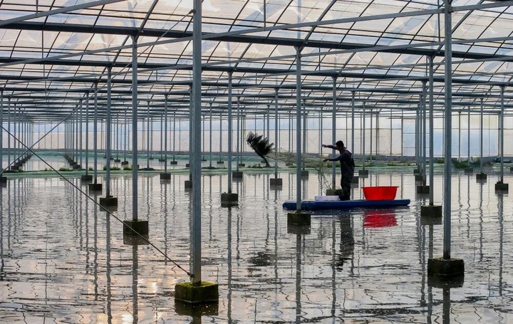 kaiyun入口：【开局之年看中国·遇见不一样的江苏】全国抢养龙虾江苏靠什么打赢品牌战？(图2)
