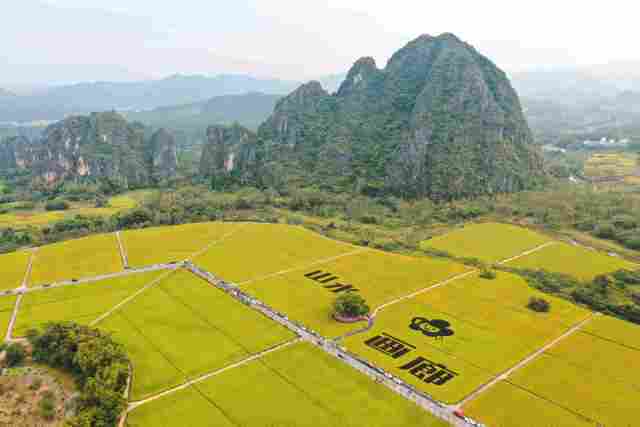 “片区组团”盘活“全域共兴”大棋局阳江市全面深化改革系列观察③(图3)