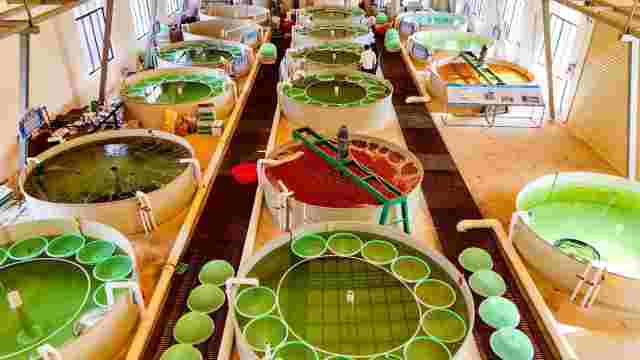 “片区组团”盘活“全域共兴”大棋局阳江市全面深化改革系列观察③(图4)