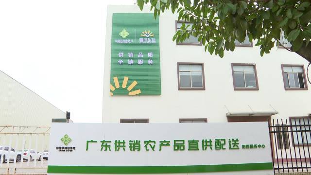 “片区组团”盘活“全域共兴”大棋局阳江市全面深化改革系列观察③(图8)