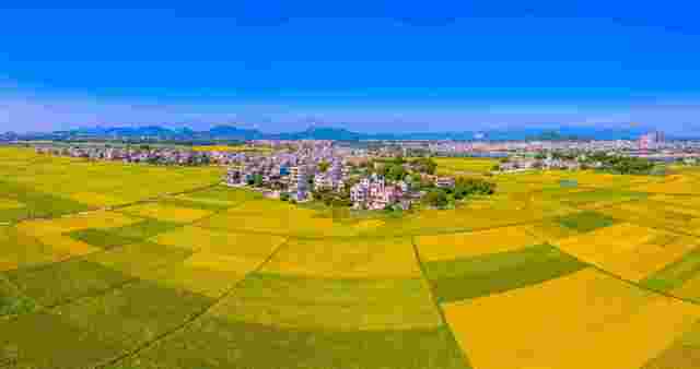 “片区组团”盘活“全域共兴”大棋局阳江市全面深化改革系列观察③(图10)