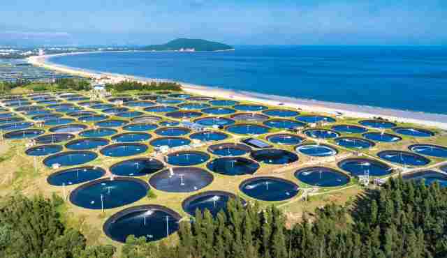 “片区组团”盘活“全域共兴”大棋局阳江市全面深化改革系列观察③(图5)