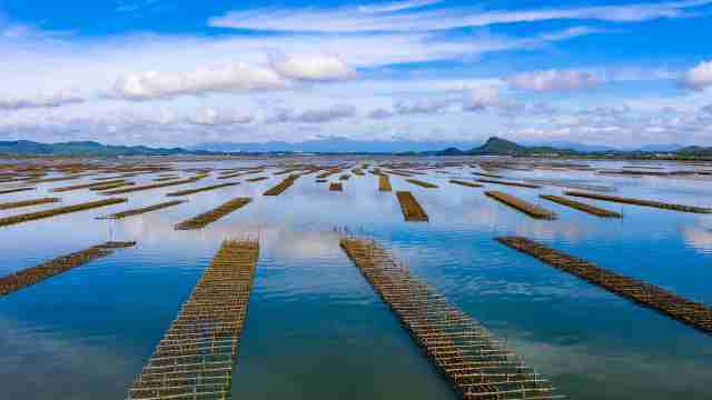 “片区组团”盘活“全域共兴”大棋局阳江市全面深化改革系列观察③(图6)