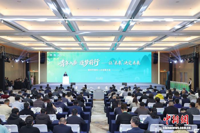 以城市思维经营乡村浙江湖州青年入乡20的探路先行(图1)